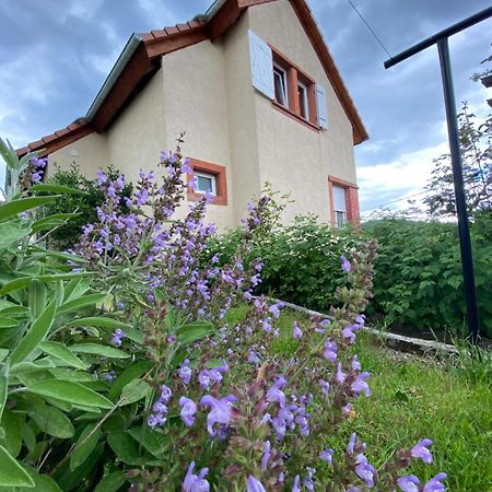 Le Refuge De L'Ours Villa Baerenthal Ngoại thất bức ảnh